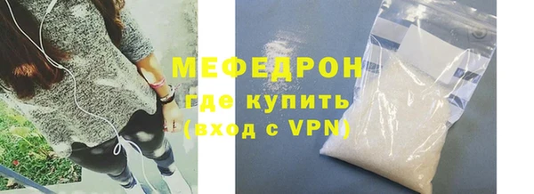 молекула духа Вяземский