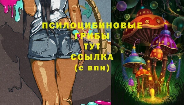 ECSTASY Горнозаводск