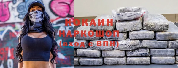 PSILOCYBIN Горняк