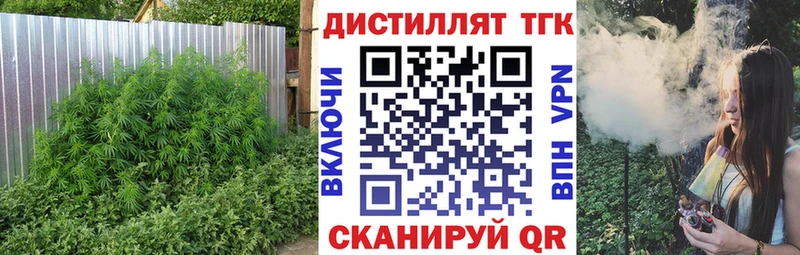 Дистиллят ТГК Wax  магазин продажи наркотиков  Зеленоградск 